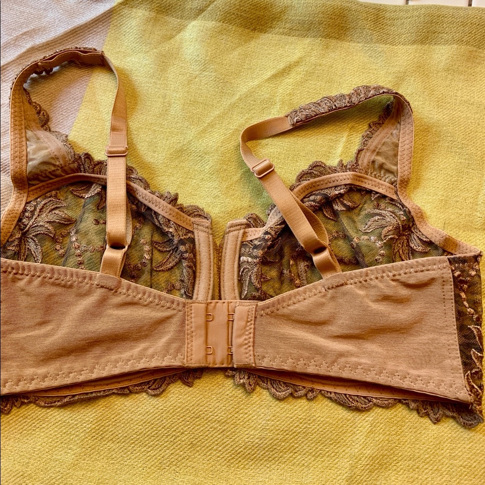 Beautiful Lace Bra - Picture 4 of 8